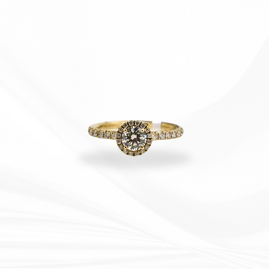Round Brilliant Cut Natural Diamond with Halo Engagement Ring.