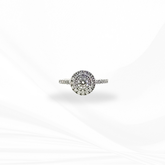 Round  Brilliant Cut Natural Diamond with a Double Halo and a Hidden Halo Engagement Ring